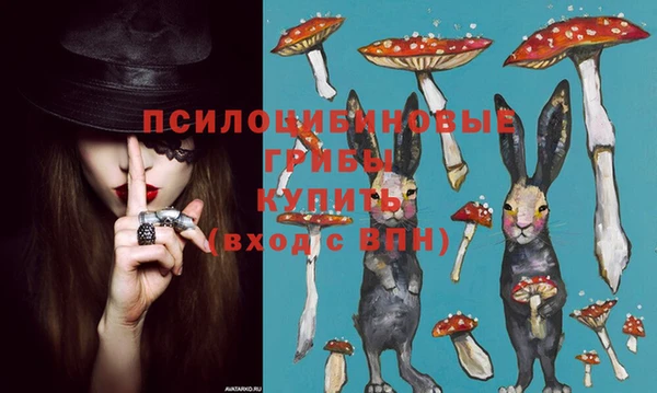 герыч Арсеньев
