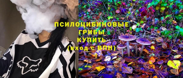 герыч Арсеньев
